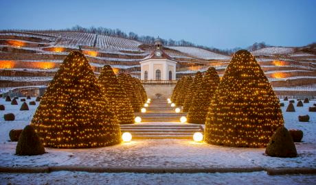 Wein & Licht auf Schloss Wackerbarth & Besuch Weihnachtsmarkt Meißen