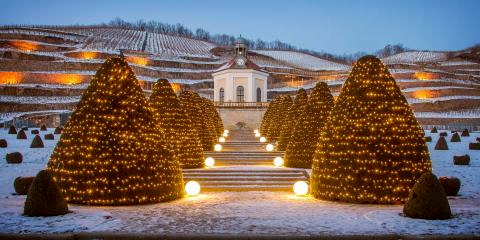 Titelbild für Wein & Licht auf Schloss Wackerbarth & Besuch Weihnachtsmarkt Meißen